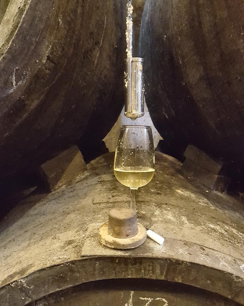 Today that we are continuously talking about sustainability, biodiversity and the environment, we protect a complex and unique ecosystem, the flower veil is the miracle of living wine and the purest expression of the vineyard and the winery, of the origin and aging #SoilandVeil