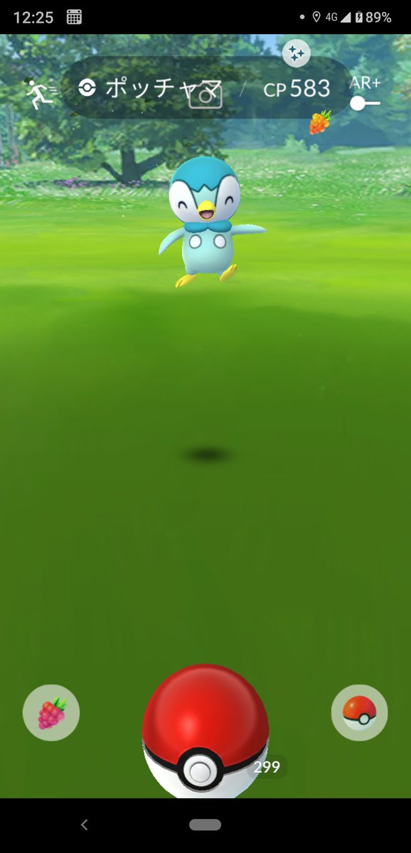 Vrn Eri 可愛い笑顔の色違いポッチャマ ポケモンgo Shiny Pokemongo コミュニティデイ ポケモンgoしてる人と繋がりたい Vrn Eri 可愛い笑顔の色違いポッチャマ ポケモンgo Shiny Pokemongo コミュニティデイ ポケモンgoしてる人と繋がりたい