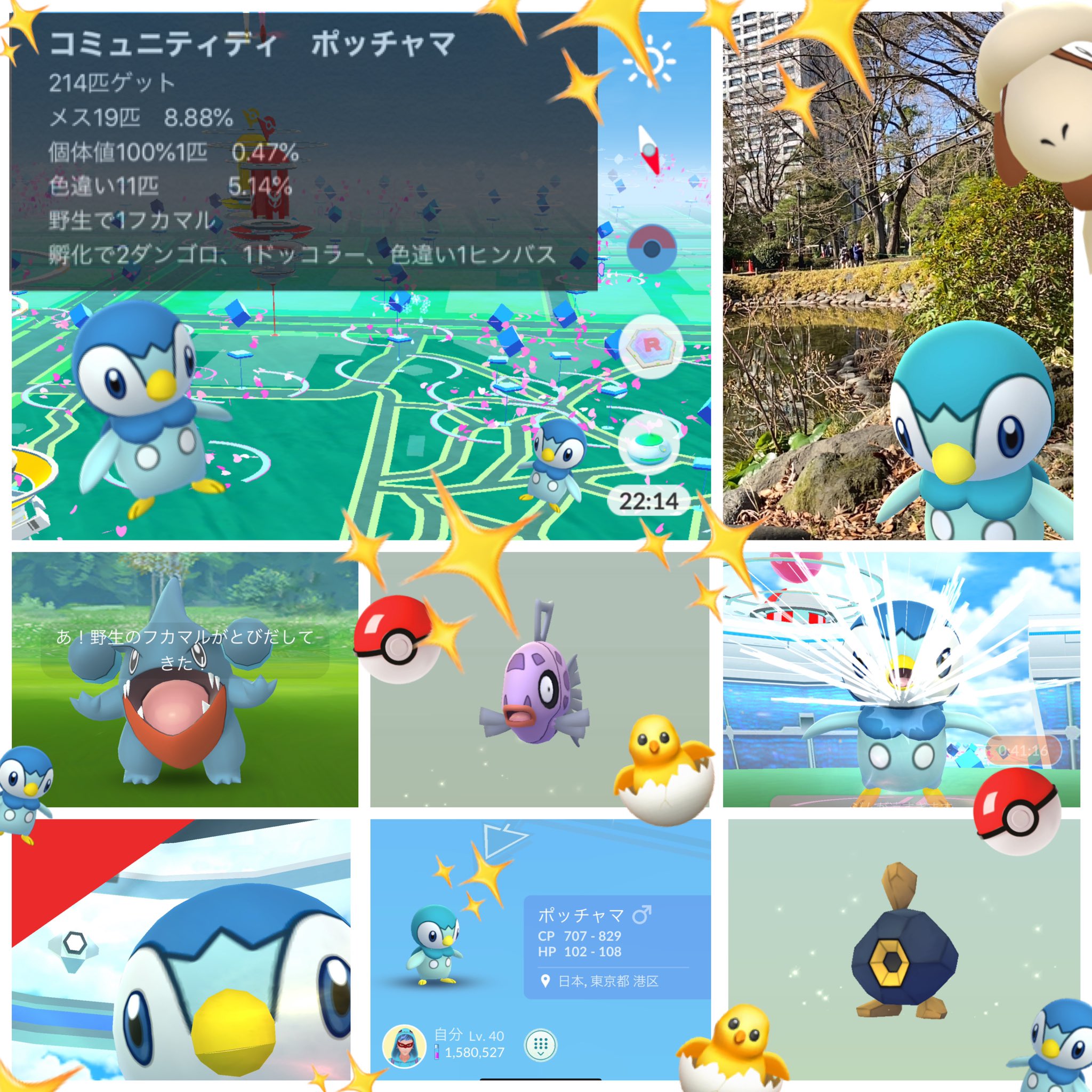 Pentapentana ポケgo垢 ポッチャマコミュニティディ楽しかった 画面いっぱいのポッチャマ 天気が良いから写真も撮りまくり みんなポッチャマの話題してて本当に楽しかった 色違い率は5 14 で普段よりも1 強高い結果 体感で色違い渋いと思ったけど メス
