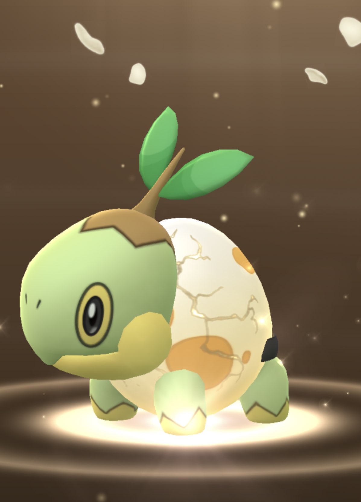 馬車馬 ポケモンgoでポケモンの確認してたら たまごが孵って不思議な合体モンスターになった たまごボディのナエトルが可愛い カラカラがもう少し上なら乗ってるように見えて良かったのに T Co 6h6tihpp9g Twitter