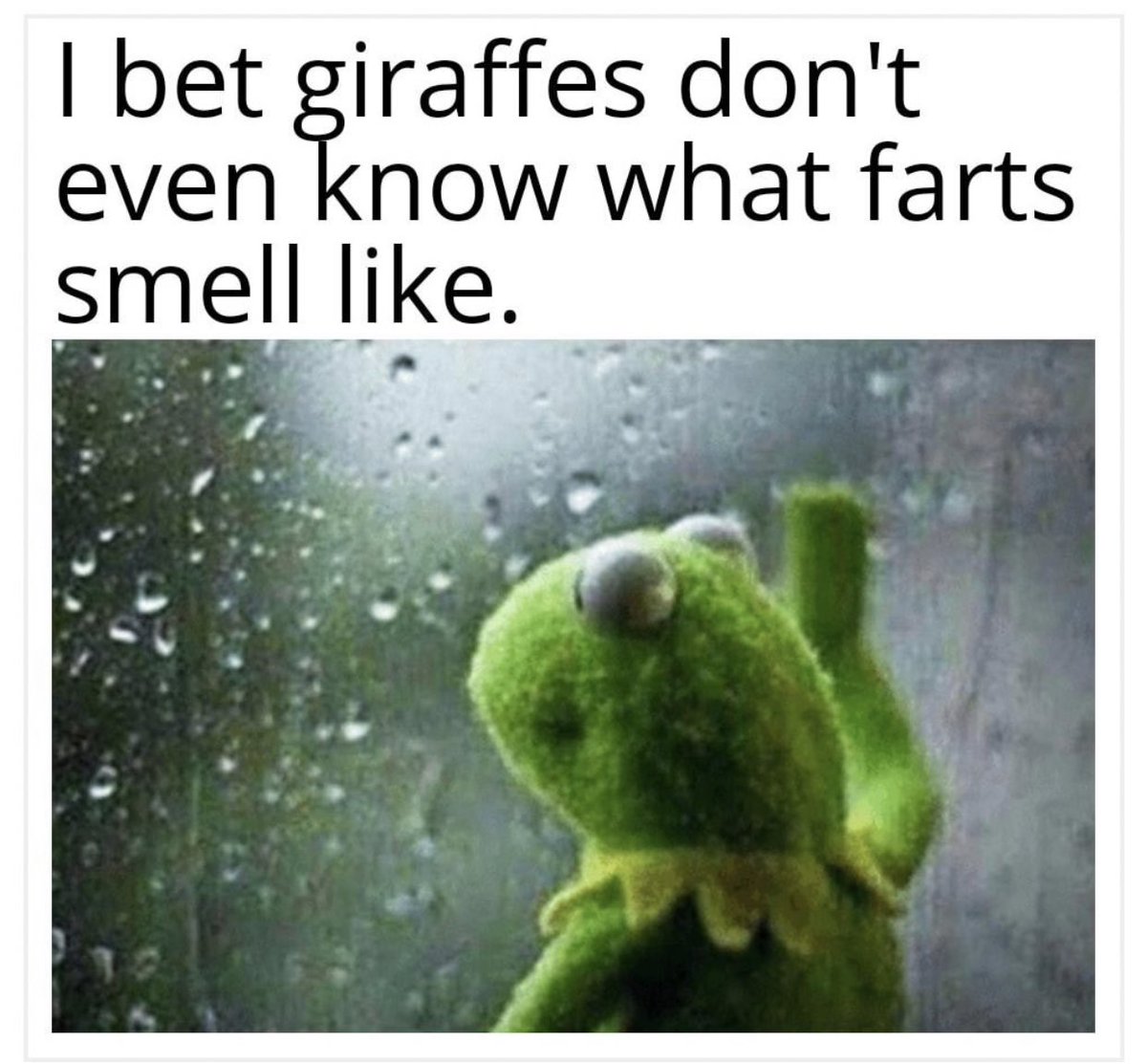 Talkin’ Shiz (@shiz_talkin) on Twitter photo 