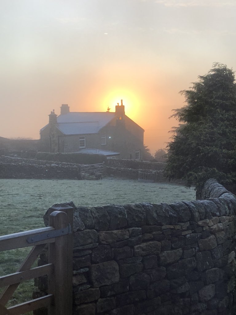 Sunday sunrise over the farm ☀️ ❄️ #Northumberland #nationalpark