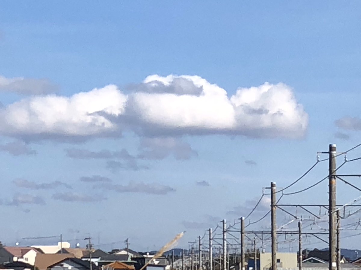 Ohtamaru's tweet photo. Take a nap with a cat in the blue sky.
ねこを抱えて空中お昼寝。
#nap #cloud #nuven #雲 #cat #gato https://t.co/iRDNndUIPk