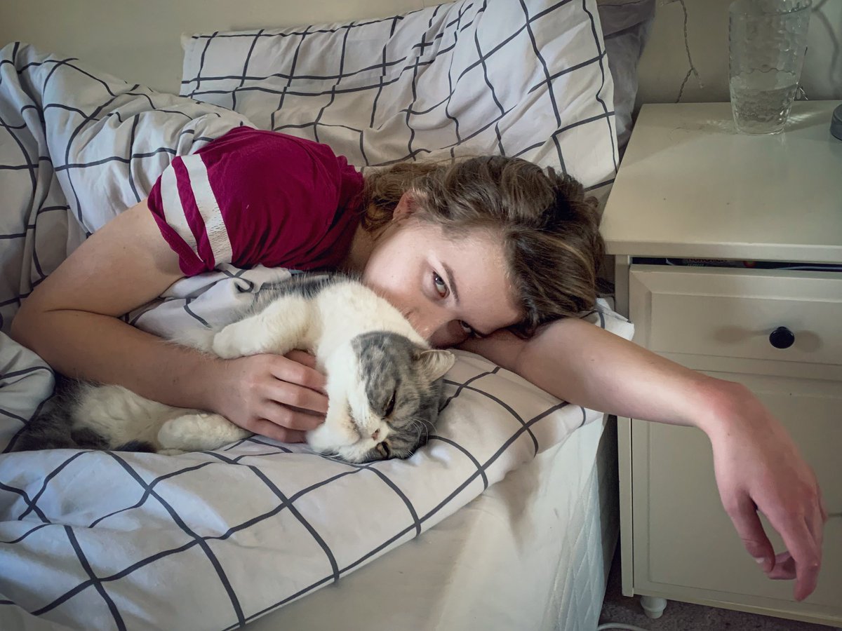 OvernightersUK's tweet photo. Morning everyone - a glorious sunny start here in Essex. Lois &amp; Humf are full of beans! Look at their joy &amp; enthusiasm when I suggested a brisk walk along the seafront before breakfast! 🤣🤣#SundayMotivation #grumpycat #grumpyteen #catslife #SundayFunday https://t.co/rOpb3TMvkN