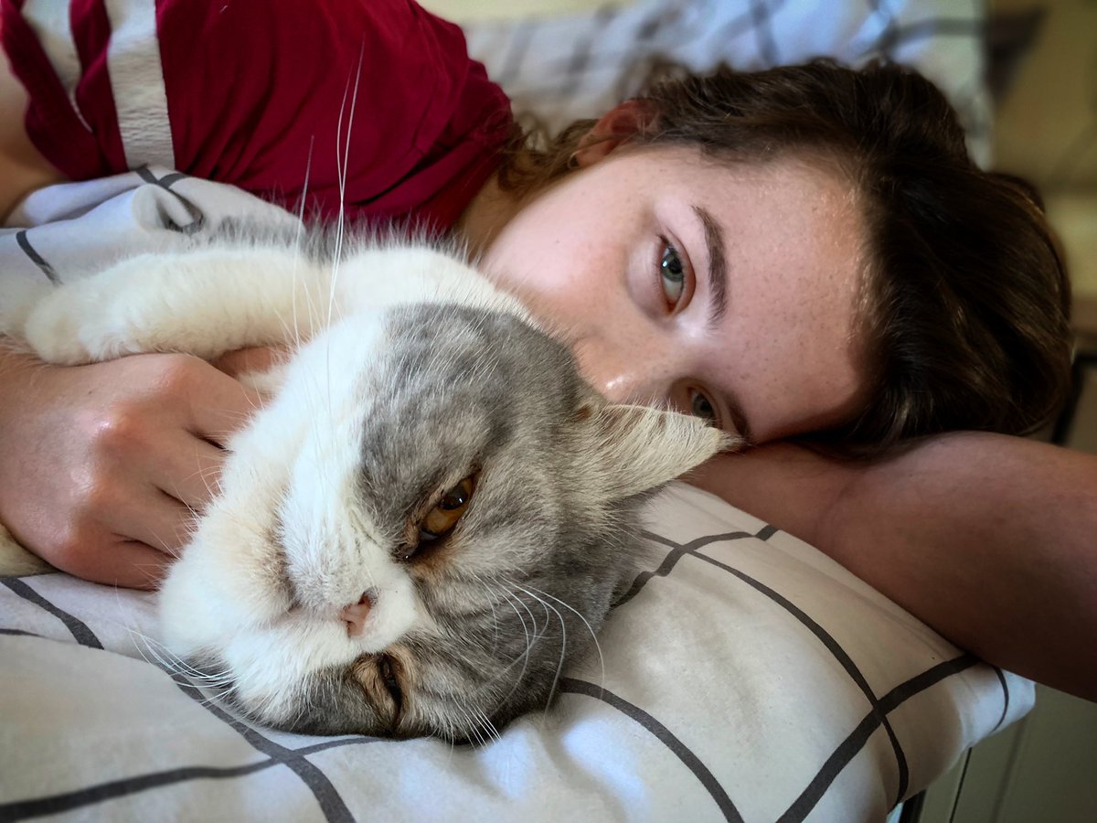 OvernightersUK's tweet photo. Morning everyone - a glorious sunny start here in Essex. Lois &amp; Humf are full of beans! Look at their joy &amp; enthusiasm when I suggested a brisk walk along the seafront before breakfast! 🤣🤣#SundayMotivation #grumpycat #grumpyteen #catslife #SundayFunday https://t.co/rOpb3TMvkN