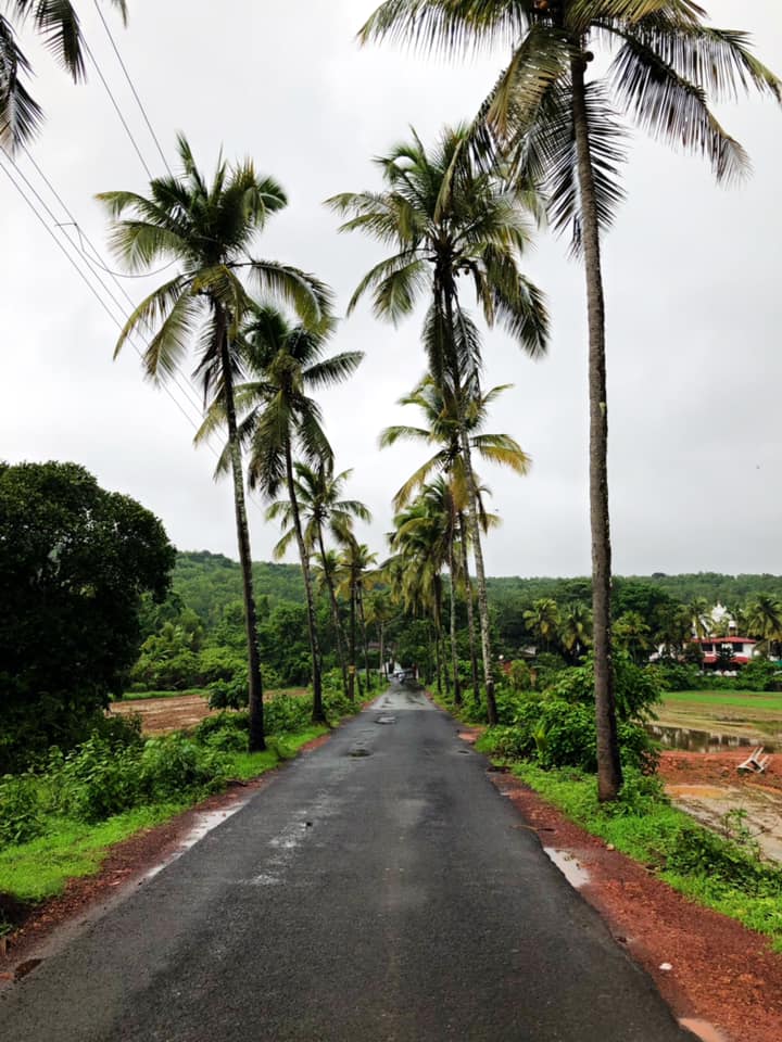 oheraldogoa's tweet photo. GOA FREEZE FRAMES- ROADS AND DRIVES THAT ARE FRAMED FOR LIFE
.
.
https://t.co/QzkNPlODnN
#TodayInHerald #Goa #GoaNews #News #GoanRoads #LongDrives #DrivesInGoa
@SujayGupta0832 https://t.co/aH3RGdpitm