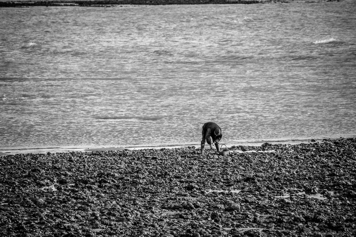 JMeneretPhoto's tweet photo. Balade à #LaTranchesurMer #NoirEtBlanc #blackandwhitephotography  #photography #streetphotography #Dansle85 #destinationvendee #Vendée #vendeetourisme #dailyphoto #France https://t.co/HcdHqHYuYd
