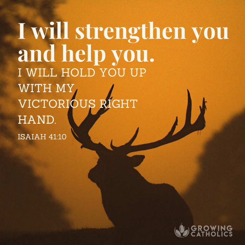 GCatholics's tweet photo. Strengthen - https://t.co/FPGfjaOWzU
#godspromises #bible #dailybible https://t.co/3KuAXDHCDu
