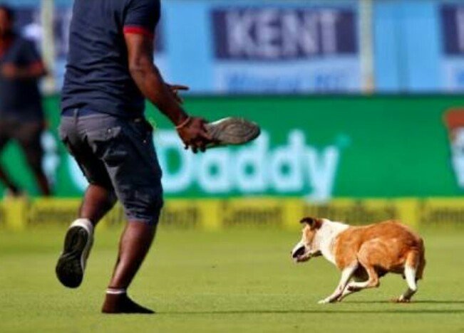 akakrcb6's tweet photo. 1. Dhoni Dhoni 

2. Chinnaswamy crowd 

#INDvAUS https://t.co/oDSkKCXtG7