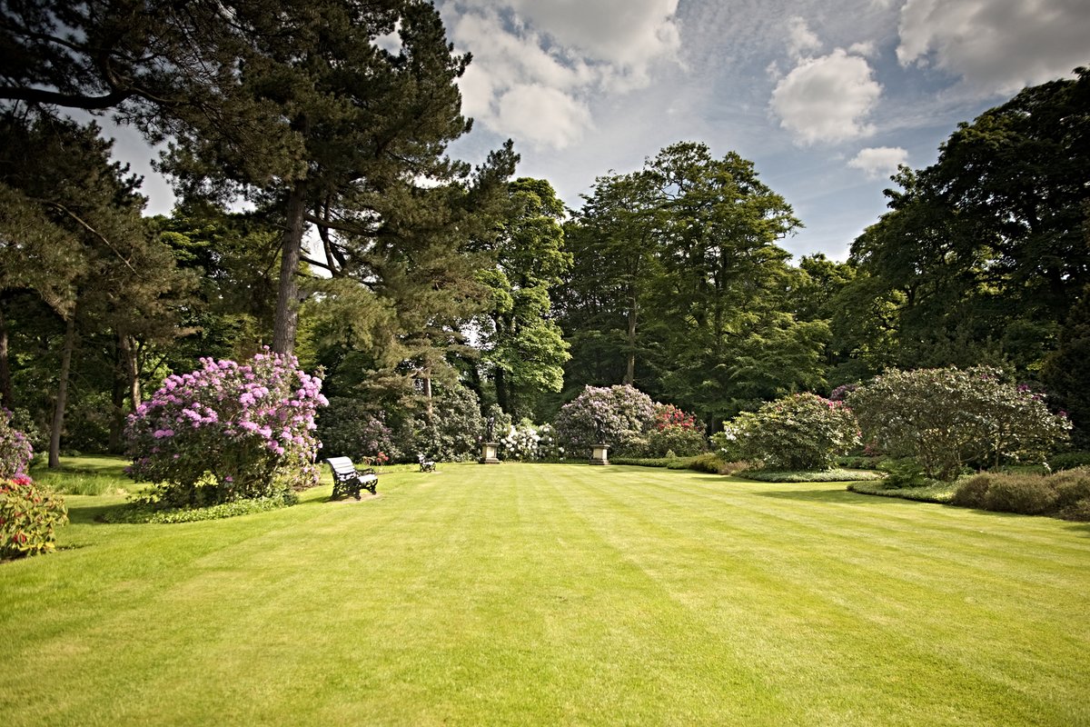 Mikeaceofspades's tweet photo. Did you know?

We employ a team of #TreeSurgeons and #landscapers who are trained and educated to work to the highest standards of #arboriculture and in compliance with British Standards.

☎️ 01603 487447 https://t.co/i3EwlVIVQl