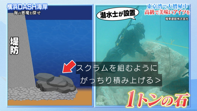 Dash海岸にイシガニが大繁殖 その謎を解明すべく城島リーダーは東京湾の沖合へと向かった結果 1年半前の あの出来事 に辿り着いた 鉄腕dash 2ページ目 Togetter