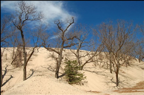 ASPANational's tweet photo. Now on #PATimes:
Shifting Sands: Navigating Practitioner Academic Exchanges in a Post-Social Media World
Thanks, @hillaryknepper
https://t.co/QYSF3P06cU https://t.co/xE02tCst00