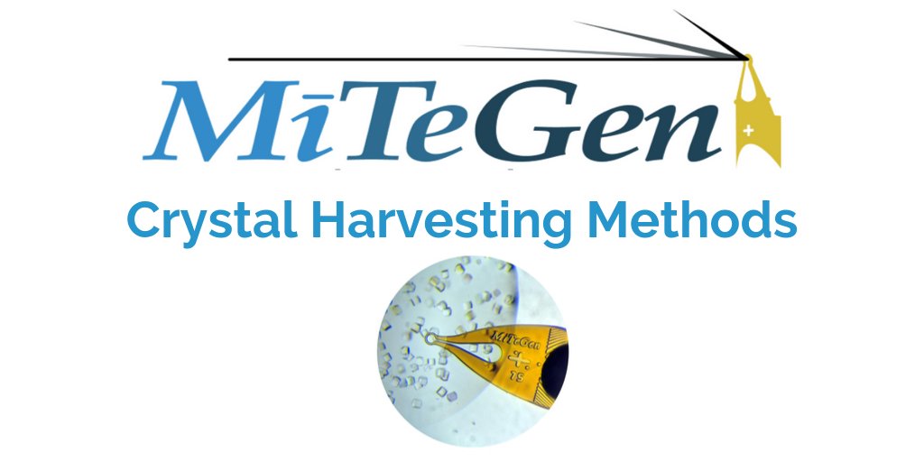 MiTeGen's tweet photo. Crystallographers - Learn the impact of crystal harvesting method - Overcome poor crystal diffraction and obtain the data quality needed to solve structures - Watch our video https://t.co/yJr4w88g6t #crystallography #crystaldiffraction https://t.co/F2A5vbDV03