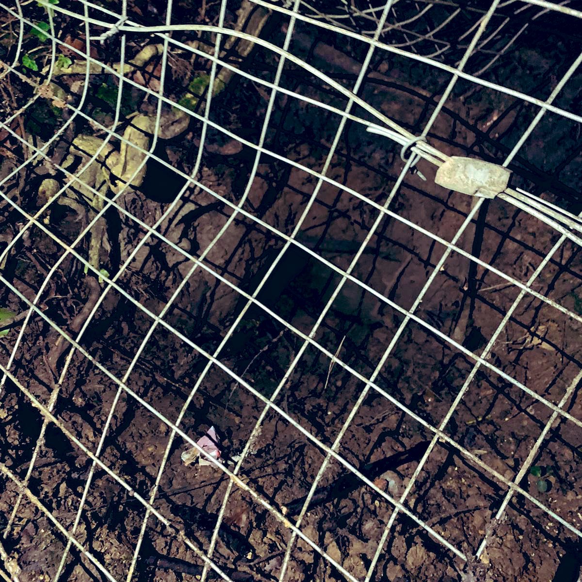 XRLondon's tweet photo. BREAKING #stophs2: Destruction &amp; illegal activity ❌
.
Across the train track, badger setts &amp; rabbit holes spotted covered with chicken wire &amp; staked in with wooden posts 🦡🐇💔
.
Blocking badger setts is illegal⛔️
.
@HS2ltd @WildlifeTrusts @RSPCA_official https://t.co/o9aJSRT7v7 https://t.co/c0kJWOvyWA