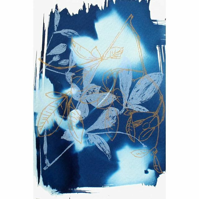 fionahprints's tweet photo. Cyanotype/screen print hybrid print. I screen printed over some cyanotypes that came out a bit boring with some images that I already had on screen. Some of these are for sale with @colour_and_space and others direct from me. 
#fionahamilton #screenprint… https://t.co/FX9bJzMtVW https://t.co/ScQrtWig30