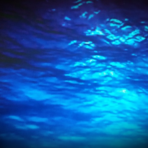 ▂▂▂▂▂▂▂▂▂▂▂▂▂▂
Coming up on #🆁🅺🅲 in
Ralph/Brian <a href="/fruitbatwalton/">Remembering Ralph's Life with The Life of Brian</a> #indie Show
▂▂▂▂▂▂▂▂▂▂▂▂▂▂
Episode #220 | #REPLAY
▂▂▂▂▂▂▂▂▂▂▂▂▂▂

<a href="/CeilingDemons/">Ceiling Demons</a> | <a href="/VertebraeMusic/">Vertebrae</a> | <a href="/thequicksmusic/">The Quicks 🎧</a> | <a href="/LearLake/">Lear Lake</a>

🆃🆄🅽🅴 📻 radiokc.fm