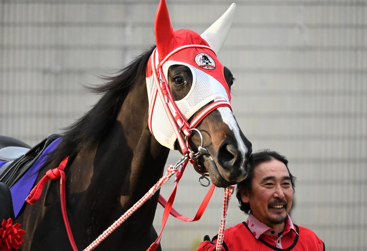 chihiro_gs's tweet photo. リスグラシュー。22戦７勝、とりわけ引退前のＧⅠ３連勝は歴史に残る名牝として語り継がれることでしょう。一方で光の中だけを歩み続けてきた訳ではない、８回も惜敗に涙をのんだ苦労人。掲示板を外したのはたった２回ということにも頭が下がります。凛とした美しい彼女と北口厩務員に心からの感謝を。 https://t.co/zSaOykLuXo