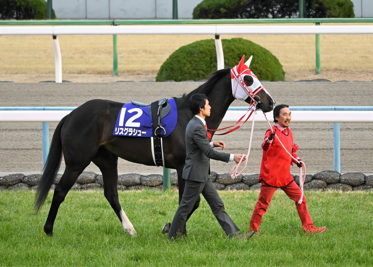 chihiro_gs's tweet photo. リスグラシュー。22戦７勝、とりわけ引退前のＧⅠ３連勝は歴史に残る名牝として語り継がれることでしょう。一方で光の中だけを歩み続けてきた訳ではない、８回も惜敗に涙をのんだ苦労人。掲示板を外したのはたった２回ということにも頭が下がります。凛とした美しい彼女と北口厩務員に心からの感謝を。 https://t.co/zSaOykLuXo