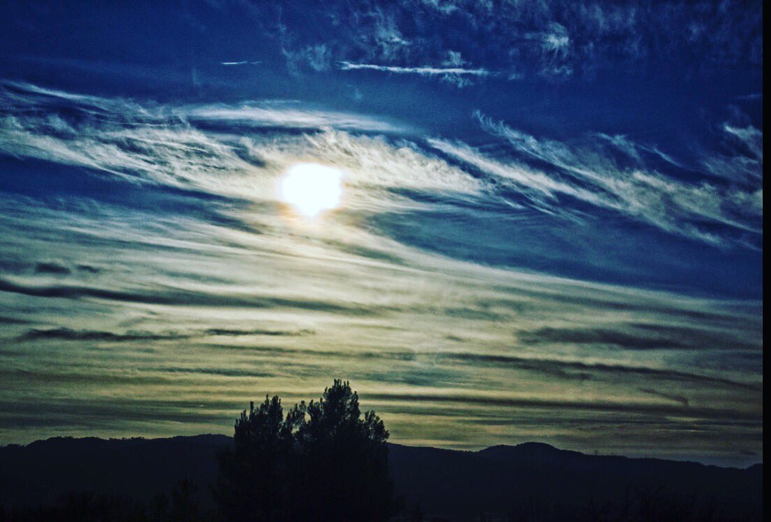 ThibautRS13's tweet photo. #follow #followme #sun #sunset #soleil #landscapephotography #landscape #cloud #sky #photo #photographer #photooftheday #Nikon thibaut_rs_photography on Instagram https://t.co/vjW3dY5oZT