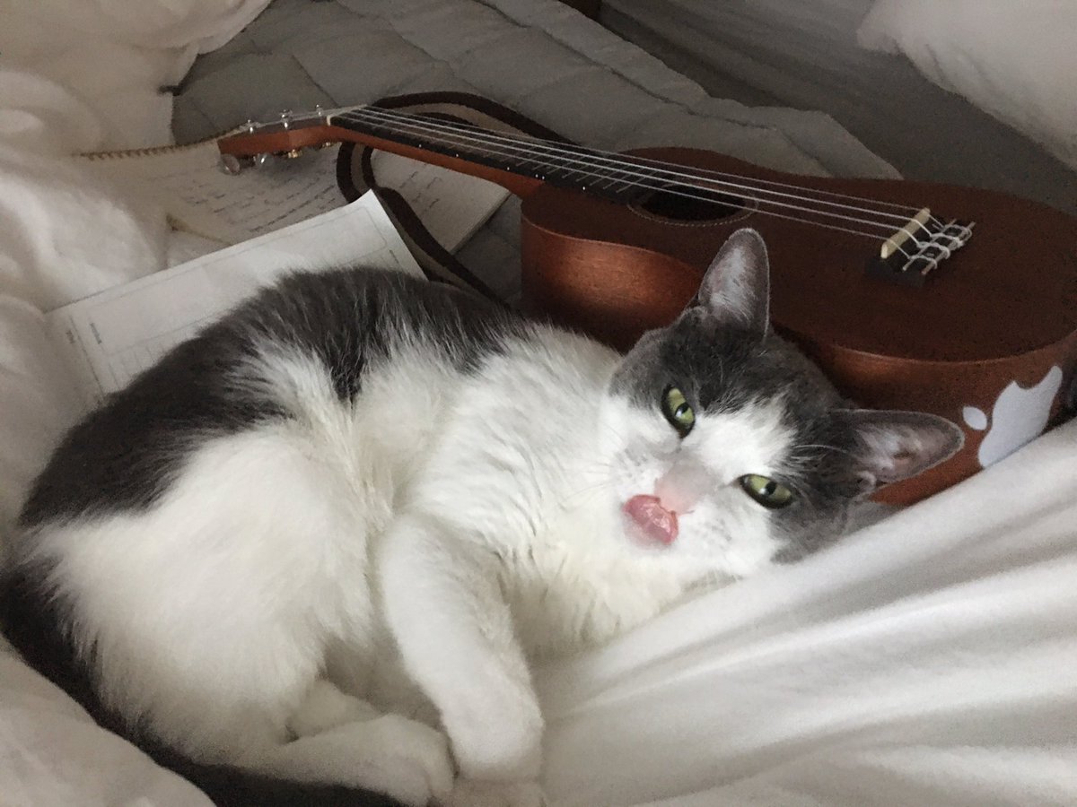 honeybinggot tweet media