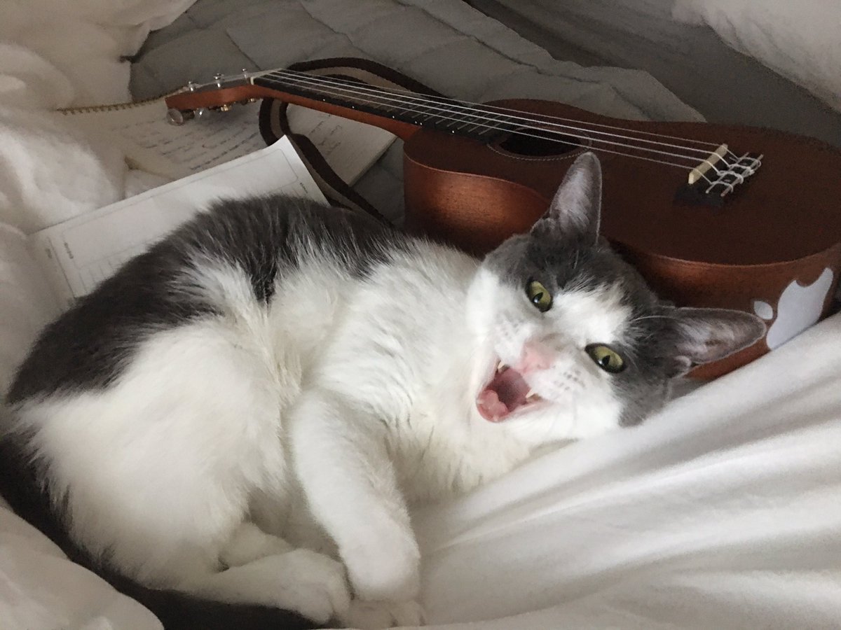 honeybinggot tweet media