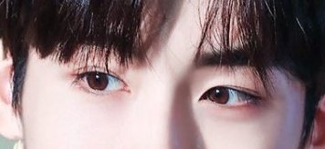 A_MASTER_PIECE_'s tweet photo. 11. NCT, WayV 윈윈
눈 끝 모양이 너무 예쁘고 쌍커풀 라인이 진짜 쌍수 자극 오는 그런 눈이에요 진심 눈동자는 초롱초롱하고 진심 너무 아름답고 빛이 나요..

라고 보내주셨습니다! https://t.co/zHJAk26XW4