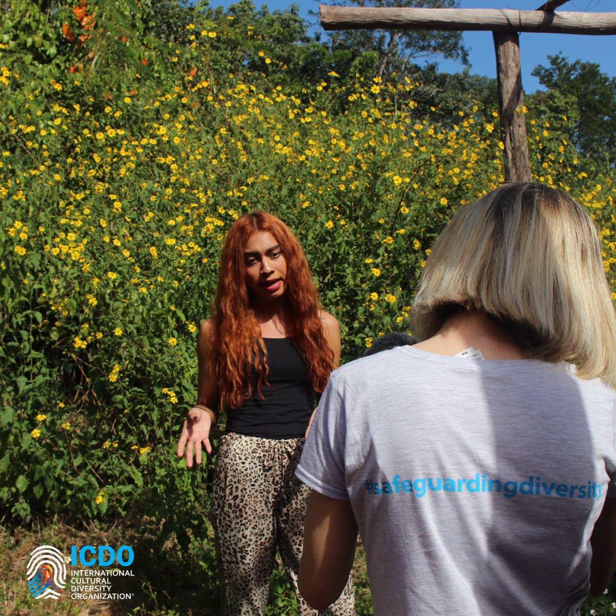 ICDOat's tweet photo. Interviews with #Maya students from @UIMQRoo
#ICDO team is proud to say that we listened very carefully, in order to amplify Maya voices and work together with them for the better, more #diverse and #inclusive future. #mayavoice #kalanjelaan #safeguardingdiversity #icdomexico https://t.co/vmgguR6deZ