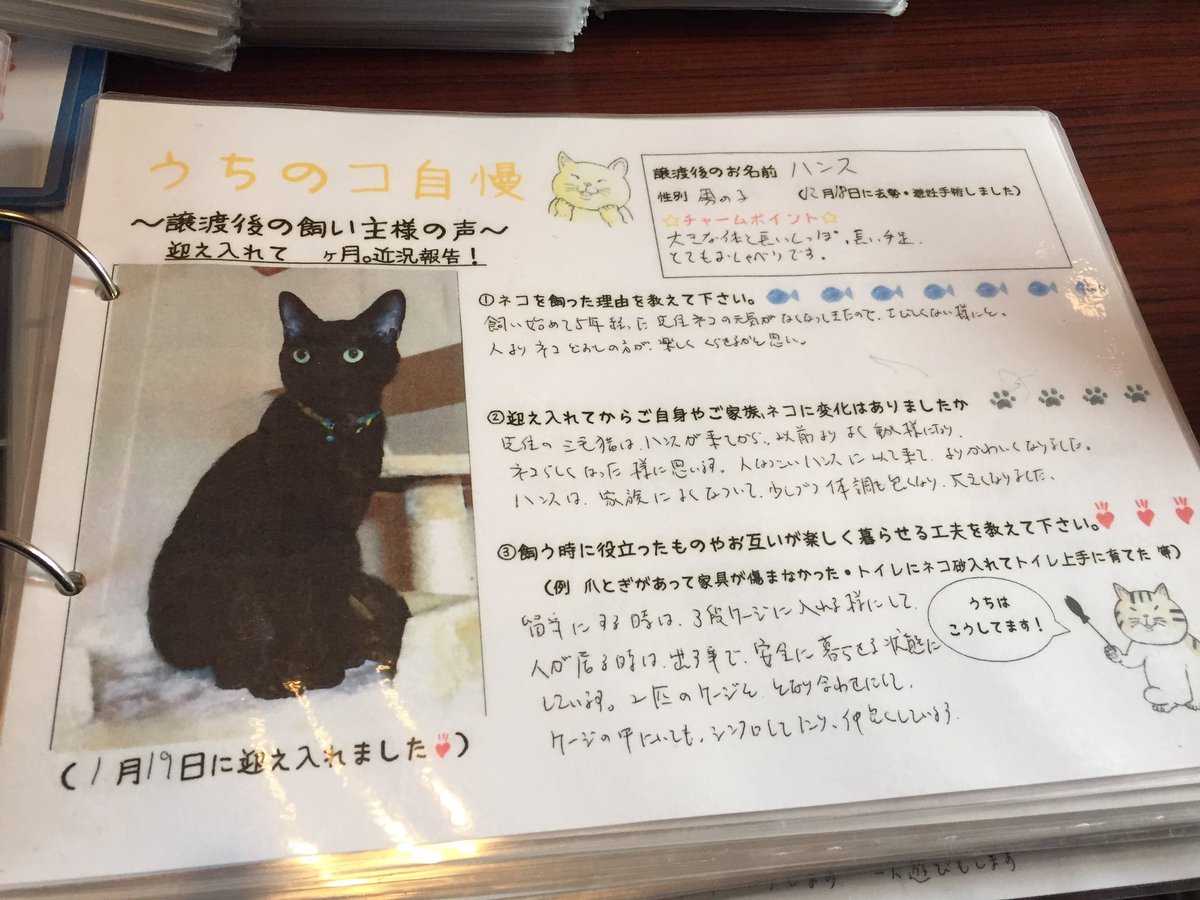住宅維持管理士と三毛猫 On Twitter 殺処分ゼロを目指す新潟市動物愛護センター 保健所 に久々寄ってみたけどだいぶ保護猫が減ってきたように思える 我が家に来たデカい男の記録もちゃんと残ってたな 新潟市動物愛護センター 殺処分ゼロ 犬猫譲渡会 Https T Co