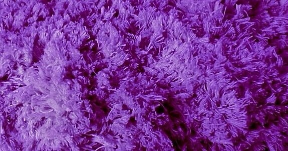 something we can call ours ™ - Neil Lillystone - swcco - carpets | interiors | artwork | etc - CIAO - PURPLE CARPET - swcco