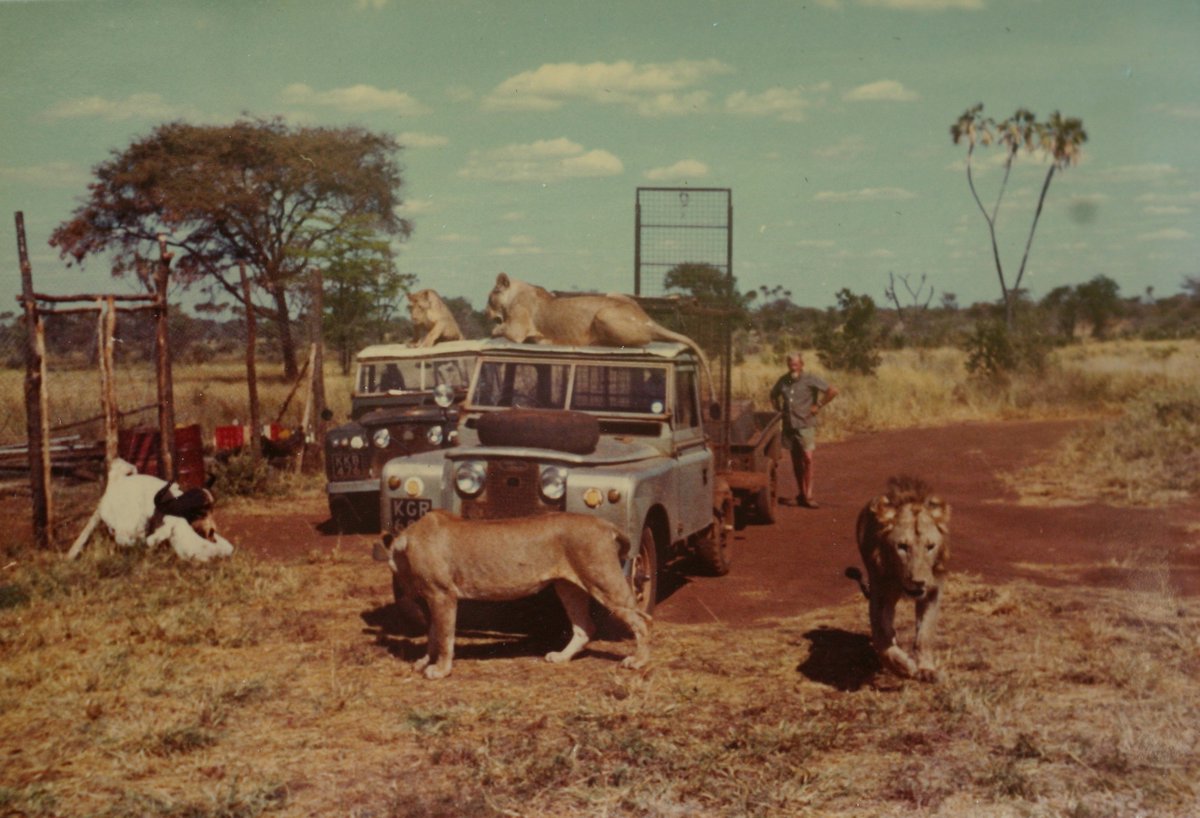The Safari & Conservation Co. tweet media
