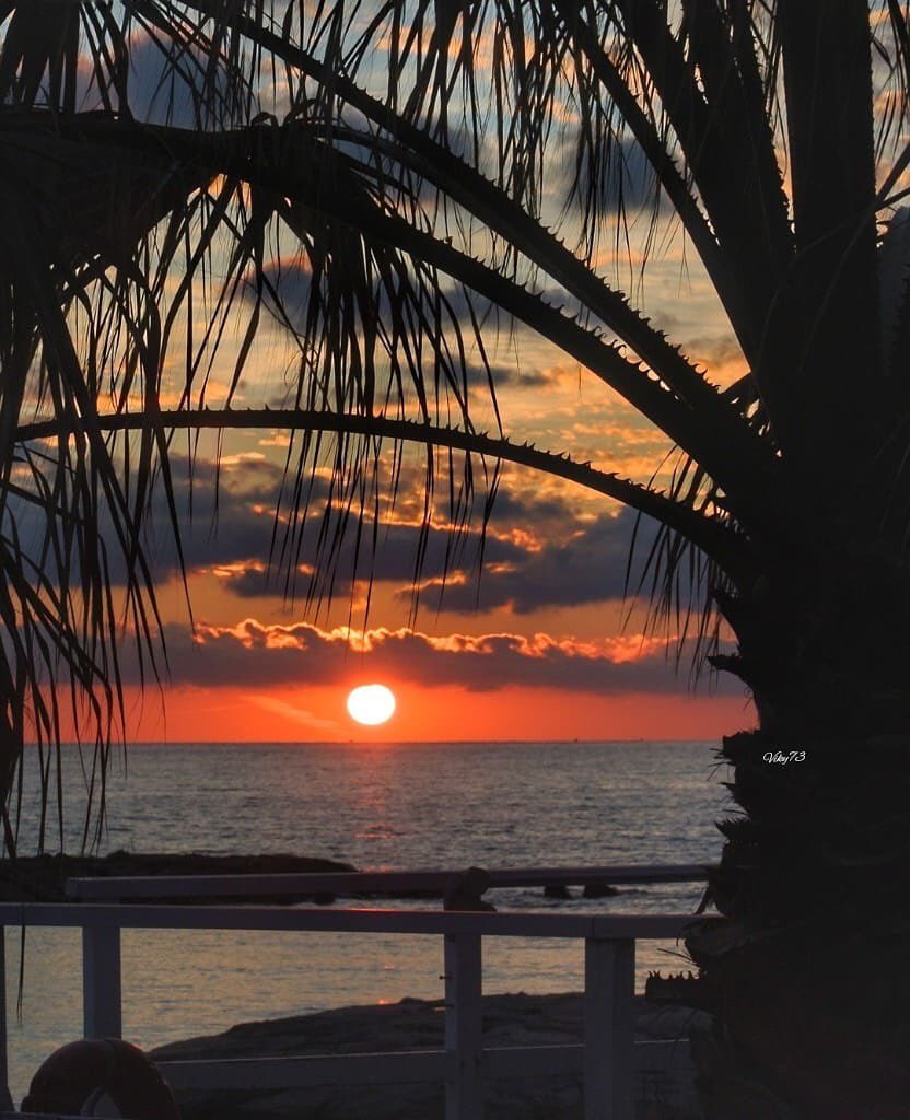Atmosfera esotica dalla bella riviera di ponente
........................................................
🔸Photo by: <a href="/viky_73/">viky</a>
🔸Location: SantoStefano al Mare