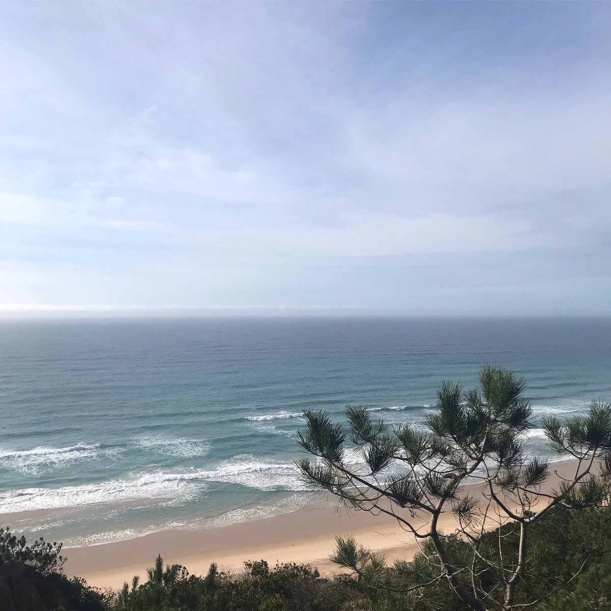 green_hero_info's tweet photo. There is nowhere I’d rather be than right here✌🏽#portugal #margemsul #lisboa #lisbon #lisbonne #lisbonsouthbay #atlanticview #oceanview #atlanticocean #oceanlover #sunnysunday #morningwalk #beachoftheday #mylifeattheocean #happyplace #trees #waves #naturephotography #naturelover https://t.co/Q9mUx4xwzS