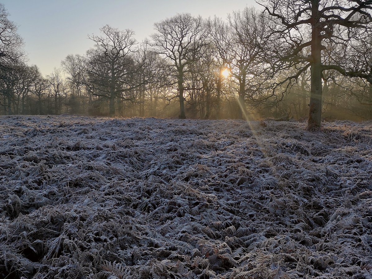 BySalmon's tweet photo. Early morning walk.
https://t.co/BiRXLDM0Nm
#landscapephotography #photography #rytonpools #ryton #coventry #cityofculture2021 #cityofculture #winter #walking #outdoorphotography #nature https://t.co/dqMgxQJyiN