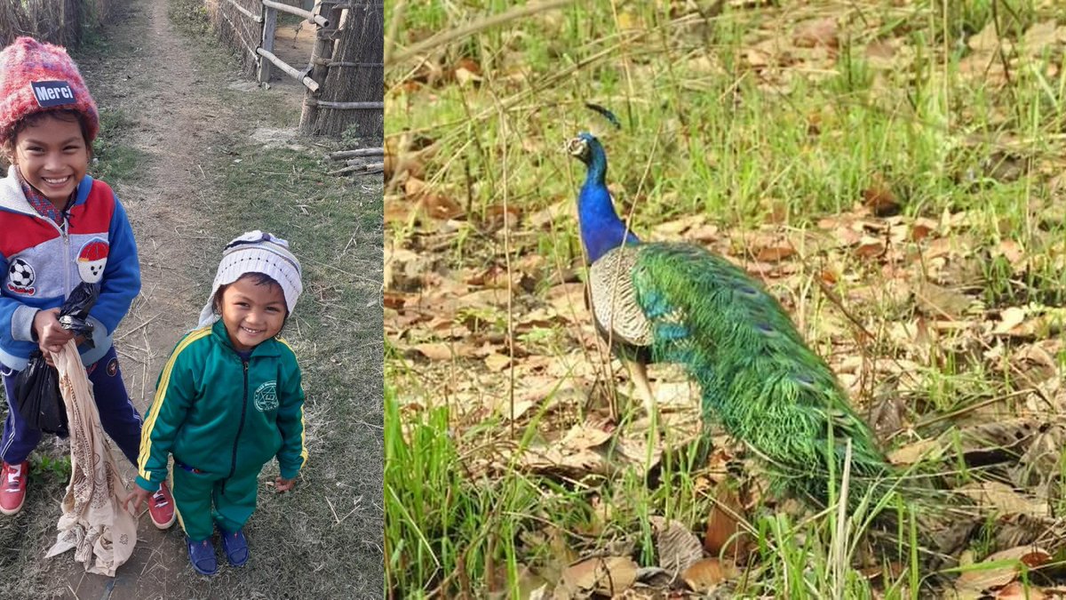 The LBC kids including Ridam + Shokira (right, now 4 and taking the classes much more seriously than when she was 3) were at a planning meeting today.  A big emphasis on birds this year in the classes, starting tomorrow with the peafowl.

A bit more at facebook.com/livingwithbigc…