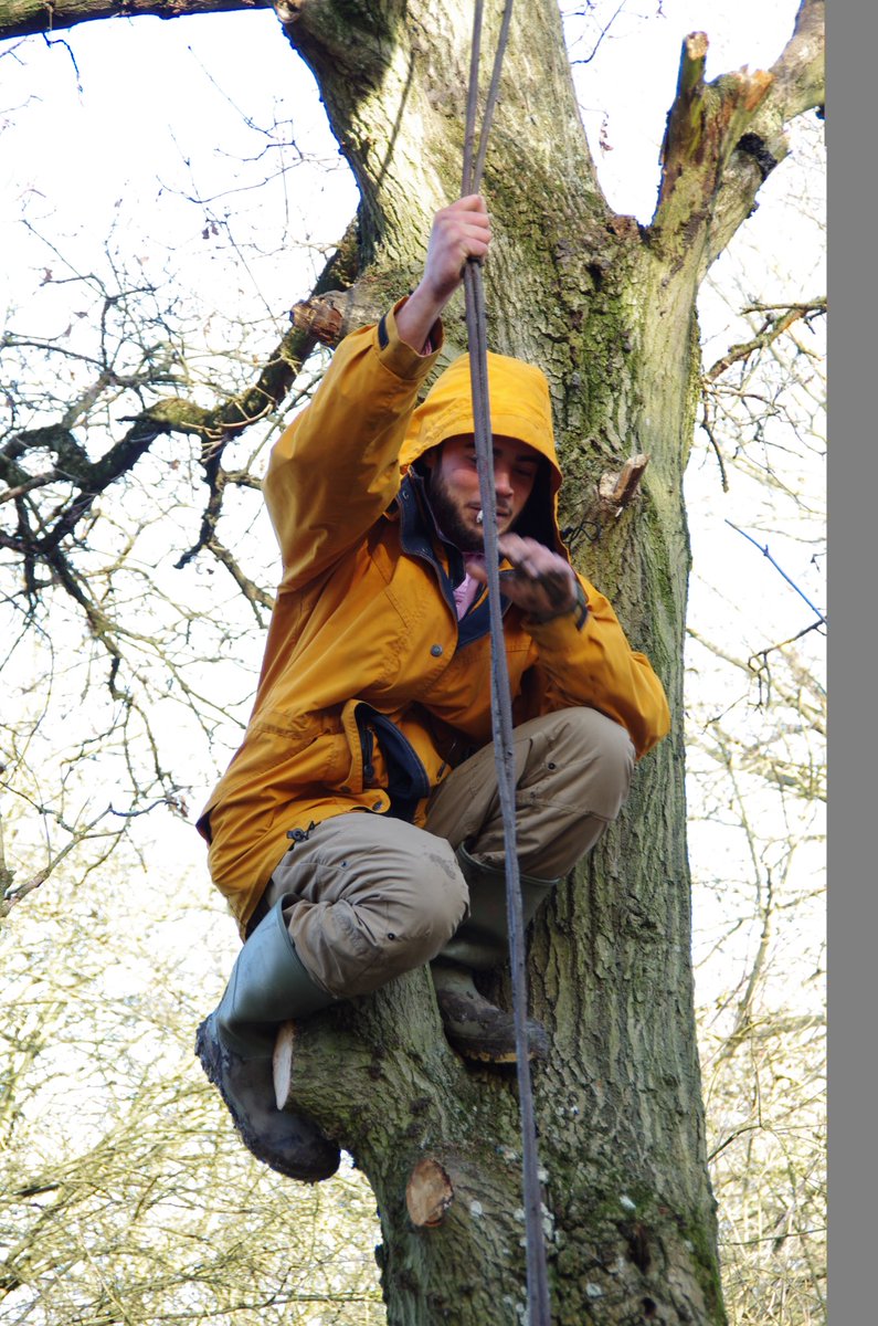 Over 100 people came to the Harvil Road camp yesterday. There was music, talks, music, civil DISCObedience, a visit from the Red Rebels, tree climbing, and NVDA workshops.

Much more is planned for today and all are welcome.

#StopHS2 #SaveColneValley

Images Terry Matthews