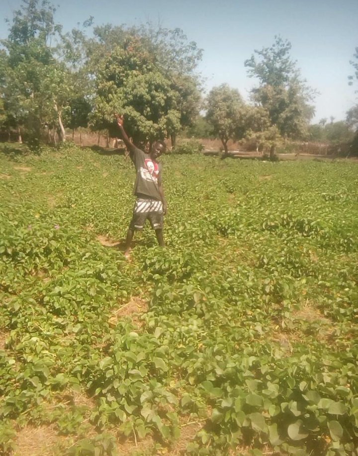 Happy blessed Sunday to everyone have a great day friends and family.