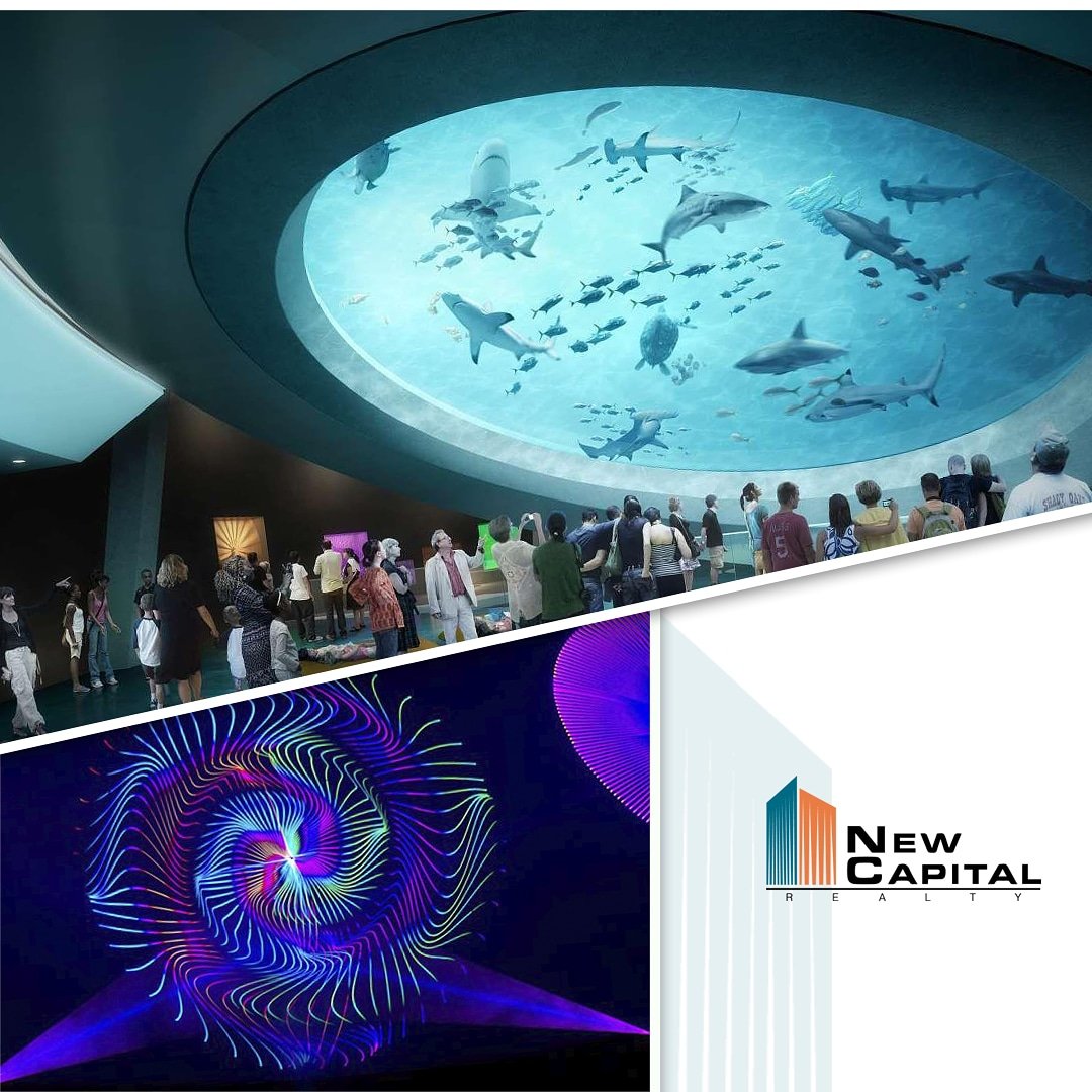 NewCapitalReal1's tweet photo. #VisitaMiami⁣
⁣
Nuestro nuevo y brillante Museo Frost de Ciencia cuenta no sólo alardea de tener un acuario listo para Instagram desde el que puedes ver tiburones, rayas y otros peces tropicales. https://t.co/z9PJ6bfRbj