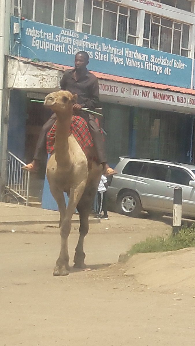 Hashmigor's tweet image. Just driving along and then you see this, tap on the pic. This is my africa!! 😂😂 #UnexpectEverything #africaisbeautiful #KenyanTraffic #Nairobi #traveler