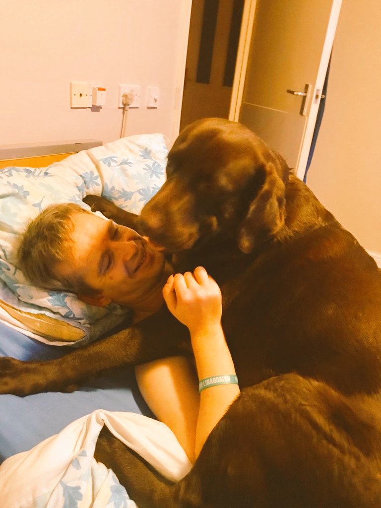 benwimbushSCORD's tweet photo. @tweetequality @AutismPeterboro @sportforconf @AFC_Basildon @eddiethepara @AveleyFC @ColU_FITC @purelydanceuk1 @elevatethesoul @Anne_W_Strike @HarlowTownFC @Bowerspitseafc Hey Guys give me puppy @RoloWimbush a follow as we train via #dogaid to be an #assistancedog as I'm #quadriplegic #wheelchairuser with an #incomplete #SpinalCordInjury #chocolatelab #puppy 👊🏻💚Ben #benwimbushSCORD creator of #20isplenty &amp; #AteWithaMate @LucozadeSport #Moverslist https://t.co/w9onDSNmLy