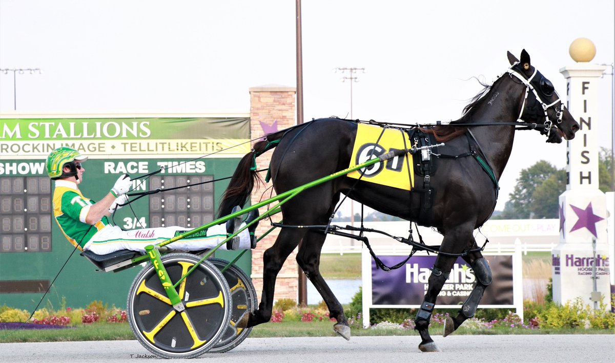 hoosiernations's tweet photo. Good Morning @TraceTetrick @WrennSandy @Chris_wponies @JoannKi32885615 @rebelsart @jtlburn @kimberlymoier @vnssa926 @KathleenBaitzel @joe_norte @elliotgordon2 @KFrnch @racing_fillies @BradA53472906 @blongphee67 @SadandSulk @musicalhossgal @HoP_Racing #Mildrix #TraceTetrick https://t.co/sFP41a4OuV