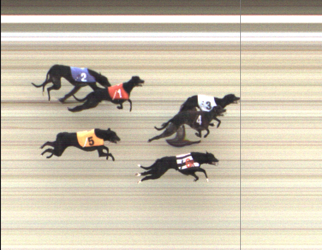 SunderlandDogs's tweet photo. We are declaring Race. 5 12.12, A1 from 19/01 as our #Photofinishchallenge entry this week π Lets see if we can retain the title! #delcared @GBGBStaff @NewcastleDogs @Kinsley_Dogs @pborogreyhounds @perrybarrdogs @bellevuestadium @OwlertonStadium https://t.co/EseDr517gn