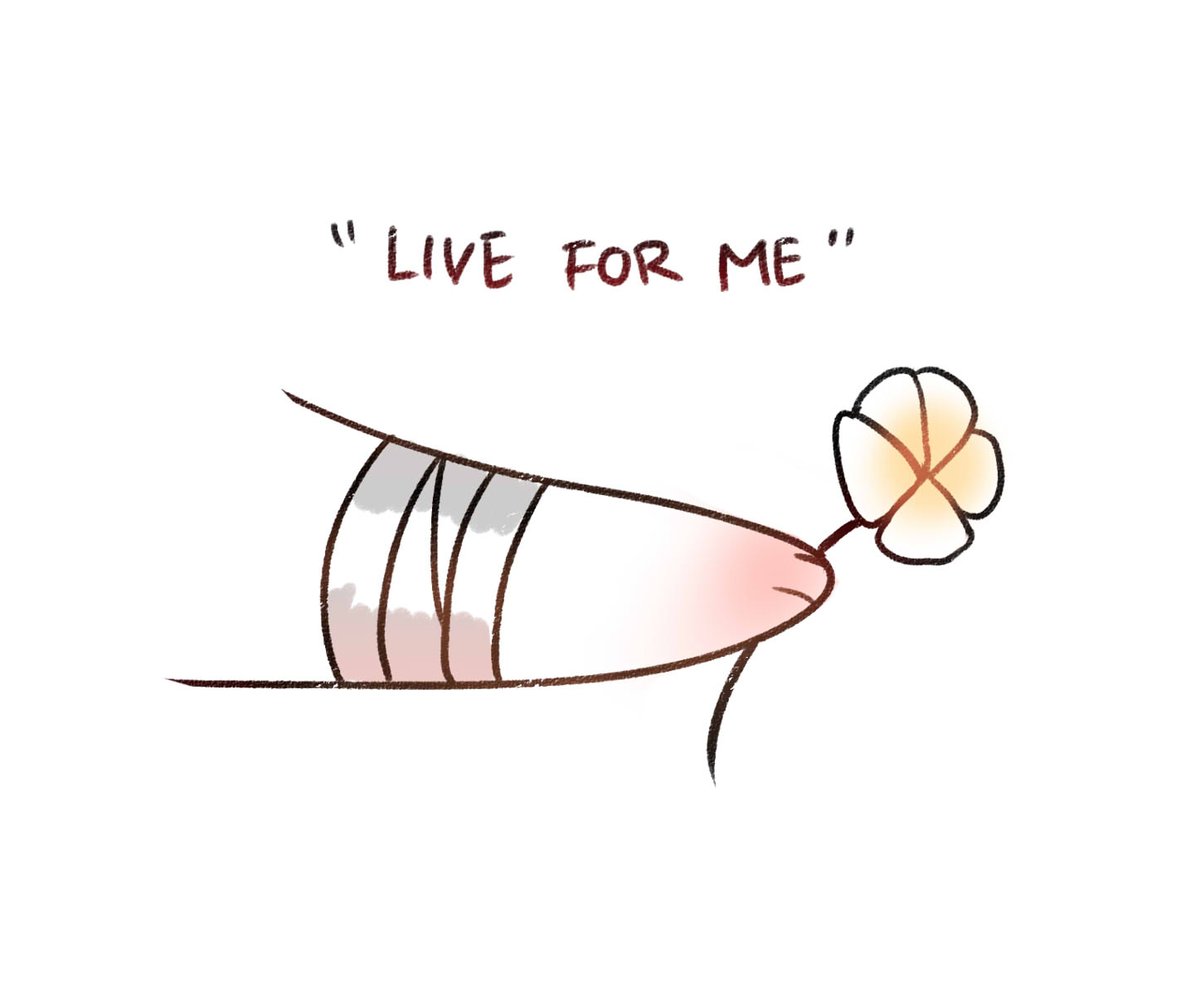 Ferret Dianxia (@dianxialovesyou) on Twitter photo 