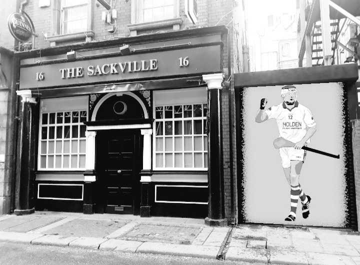 Ballyhale Shamrocks, Kilkenny Champions.