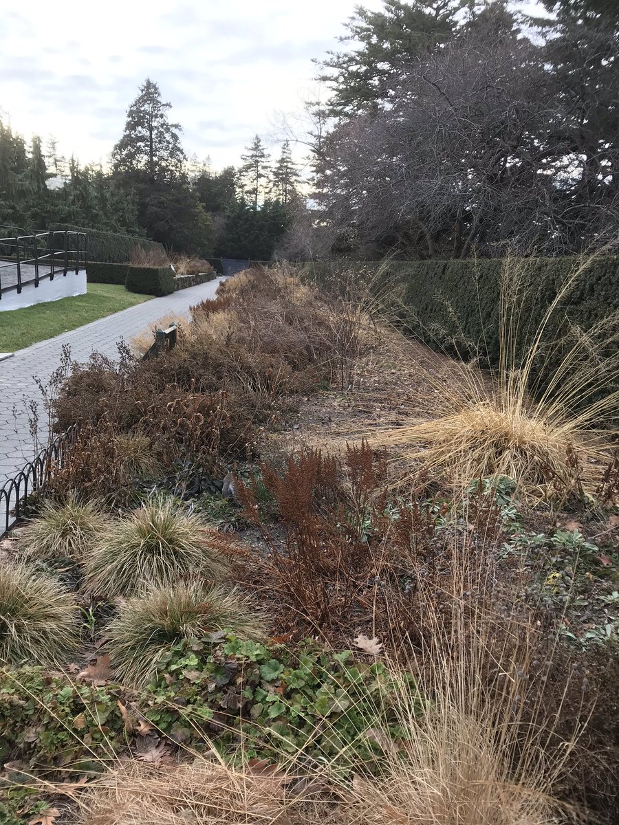 Another great read by Piet Oudolf, who designed the High Line and this seasonal garden <a href="/NYBG/">New York Botanical Garden</a> with mostly native plants.  We now understand that insects, birds, and mammals rely on native plants for survival. No insects-no food. #plantnatives