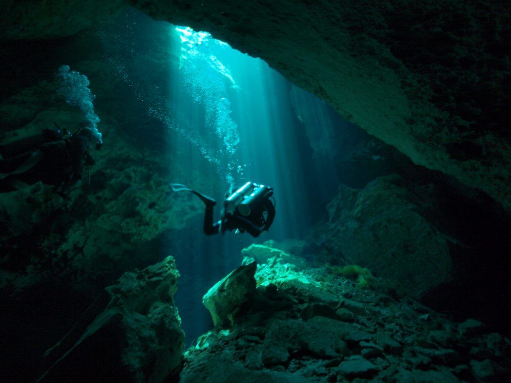 buceoafondo's tweet photo. DIVE HOME un centro de buceo familiar y diferente en Cancún, México. 
Más info en Buceo a fondo 👉  https://t.co/Fqh81GzDJt https://t.co/lUBMi1hfgQ
