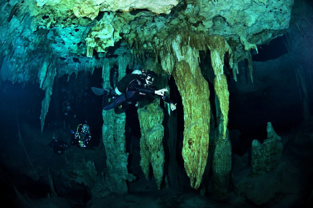 buceoafondo's tweet photo. DIVE HOME un centro de buceo familiar y diferente en Cancún, México. 
Más info en Buceo a fondo 👉  https://t.co/Fqh81GzDJt https://t.co/lUBMi1hfgQ