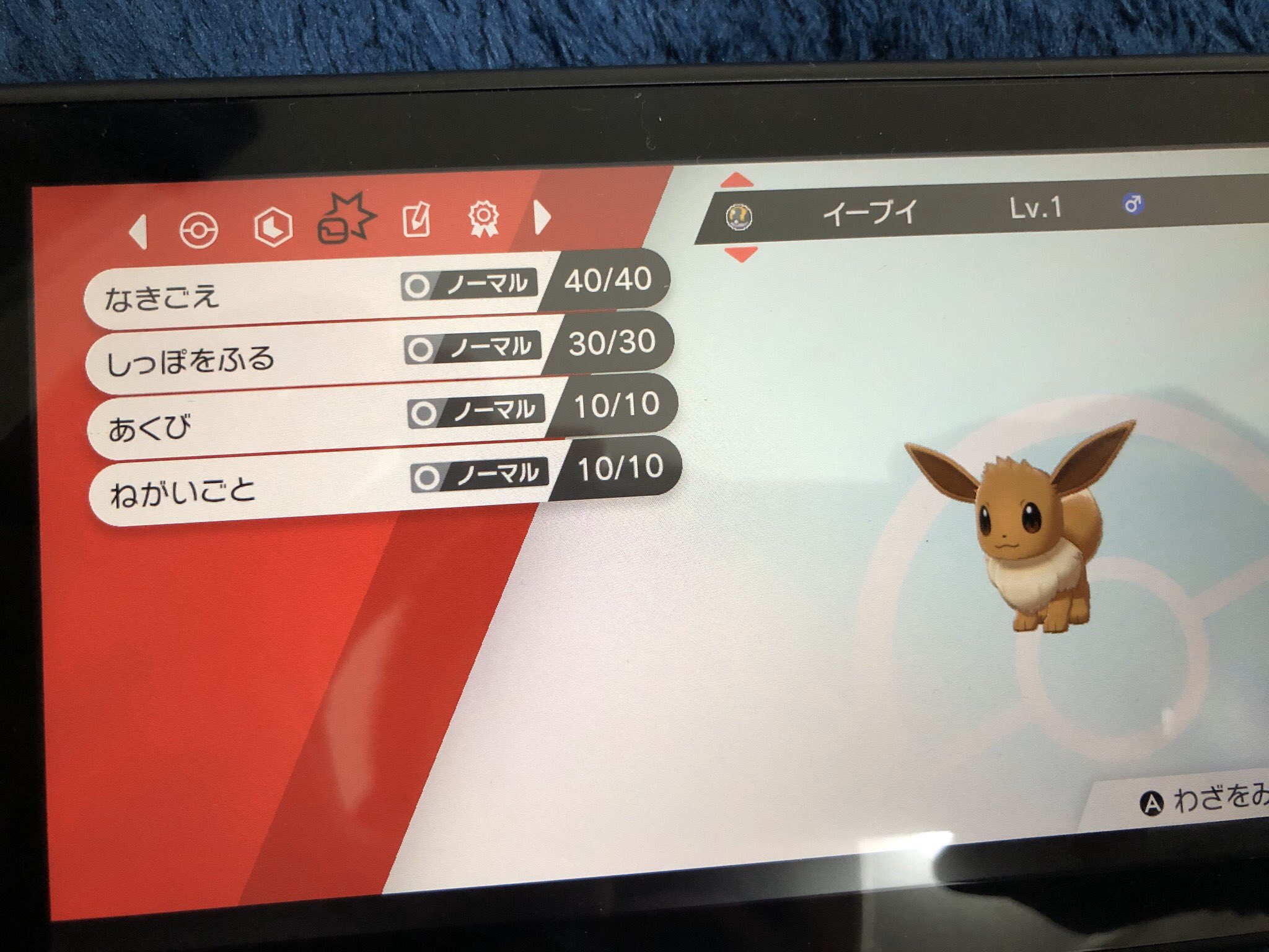 タカ 出 夢イーブイ5v タマゴ遺伝済 あくび 願い事 H0 2体 A0 4体 B0 1体 C0 2体 S0 1体 求 ヨーギラス性格ようきかいじっぱり各1体 リオルいじっぱり ミミッキュいじっぱり イーブイ 夢特性 5vイーブイ T Co A5dbap2cp7