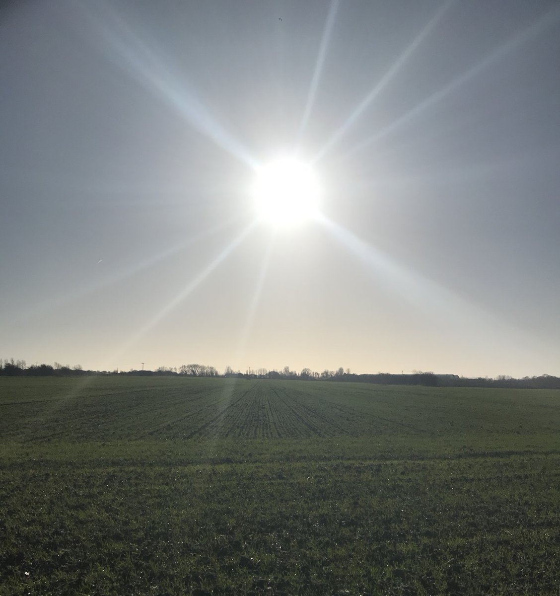 stevecosteracu's tweet photo. You have to walk quite a distance in Essex to get away from the sound of traffic, but this morning I managed it :) I was surprised that no one else was out there enjoying the winter sun #sunshine #walking #healthy #sundaywalk #acupuncture #SouthendOnSea https://t.co/1uUcwFwVoK
