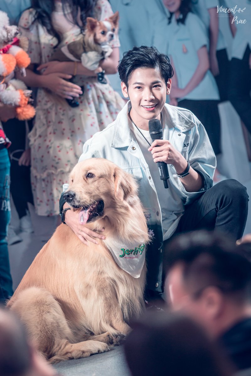 VincentPrae's tweet photo. The best therapist has fur and four legs.

#หมอหมาใจหล่อส่งต่อความรักให้หมาจรss3
#SingtoPrachaya #สมุนจ้าวป่า https://t.co/o0ObXdrT5S