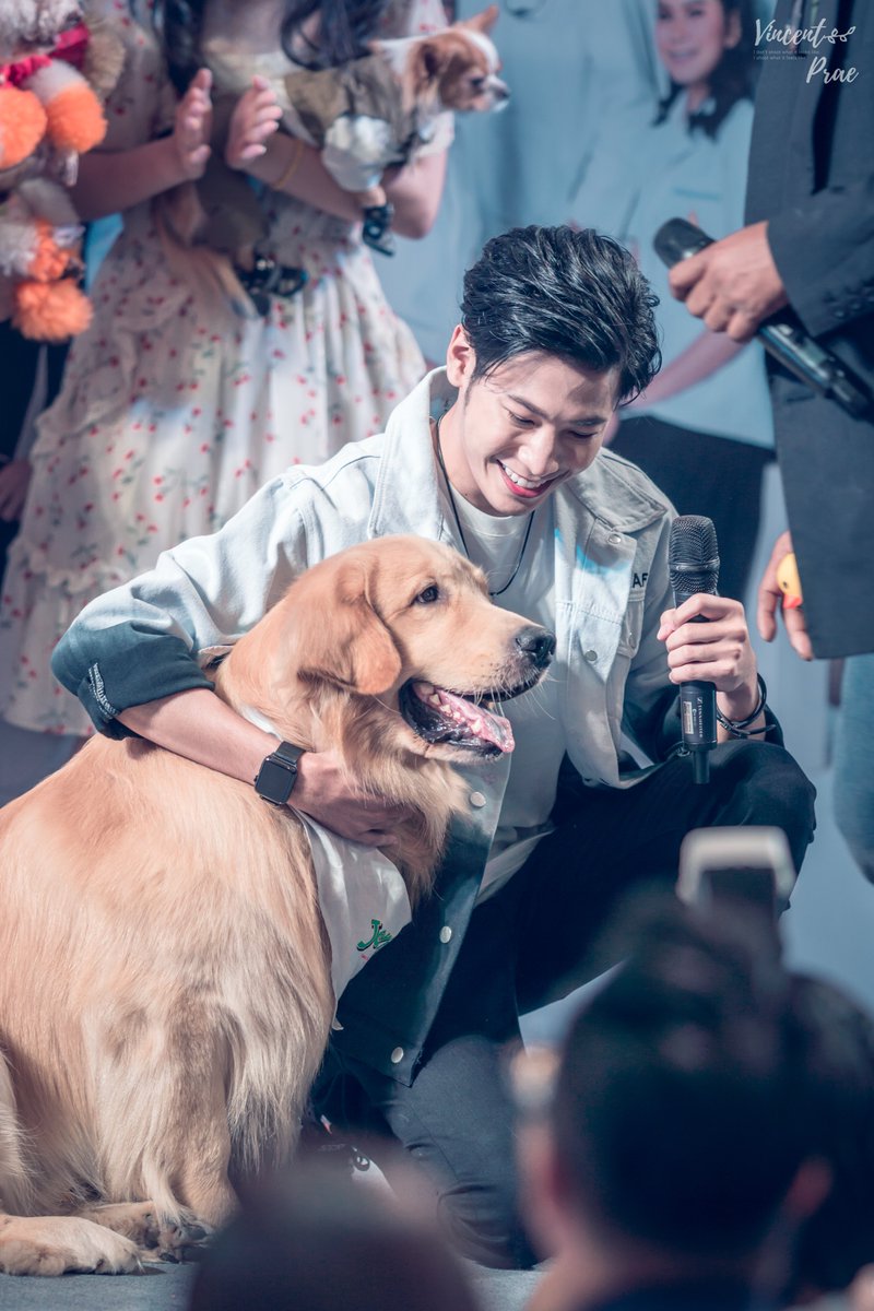 VincentPrae's tweet photo. The best therapist has fur and four legs.

#หมอหมาใจหล่อส่งต่อความรักให้หมาจรss3
#SingtoPrachaya #สมุนจ้าวป่า https://t.co/o0ObXdrT5S